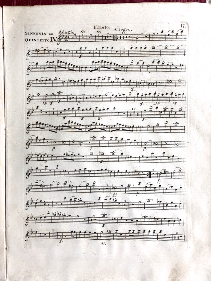 Haydn Quintour 3